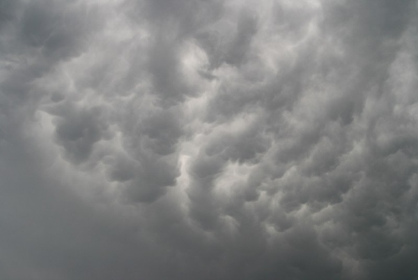 Eifelmammatus0507 027a.jpg